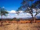 Park Narodowy Tsavo